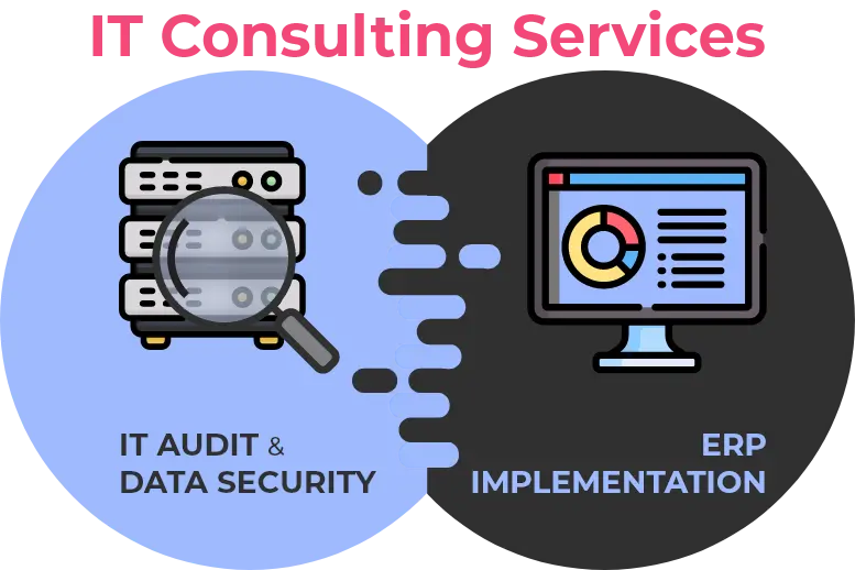 It Consulting services by NSKT